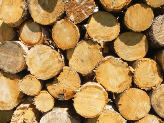 See How J&W Lumber Goes ‘Green’
