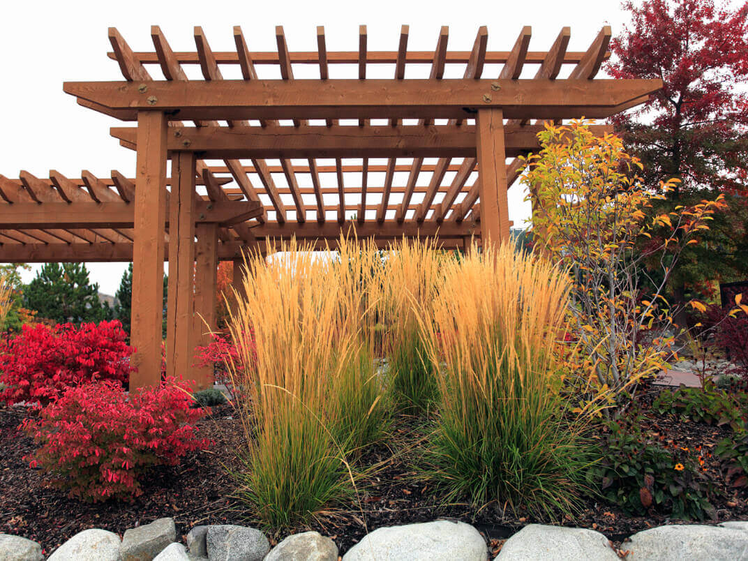 Variety (of Wood) Is the Spice of Outdoor Projects Variety (of Wood) Is the Spice of Outdoor Projects