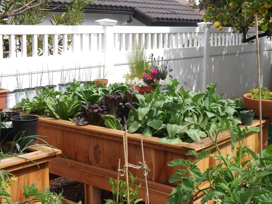 Step Up Your Garden: The Benefits of Garden Boxes