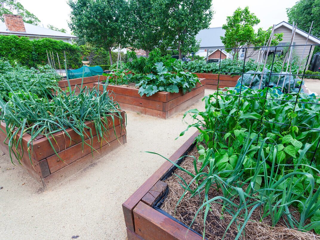 Gardening on Your Terms: Garden Anywhere with Garden Box Kits Gardening on Your Terms: Garden Anywhere with Garden Box Kits