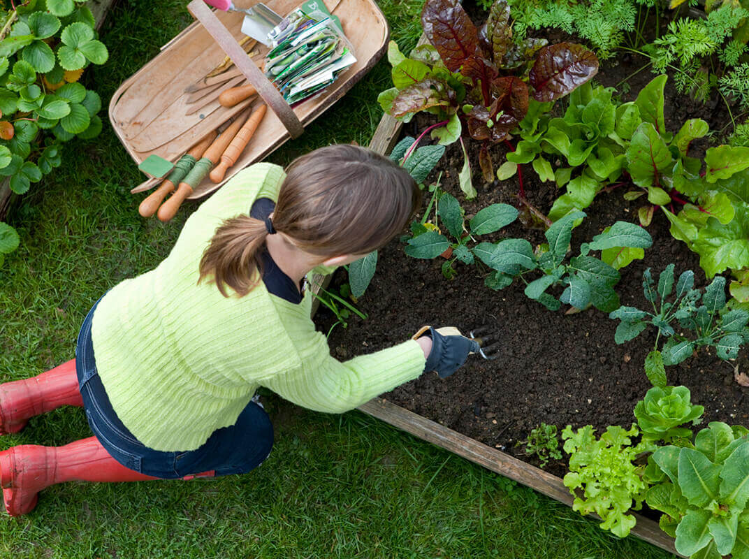 The Garden Box Brainstorm: It’s Time to Get Creative The Garden Box Brainstorm: It’s Time to Get Creative