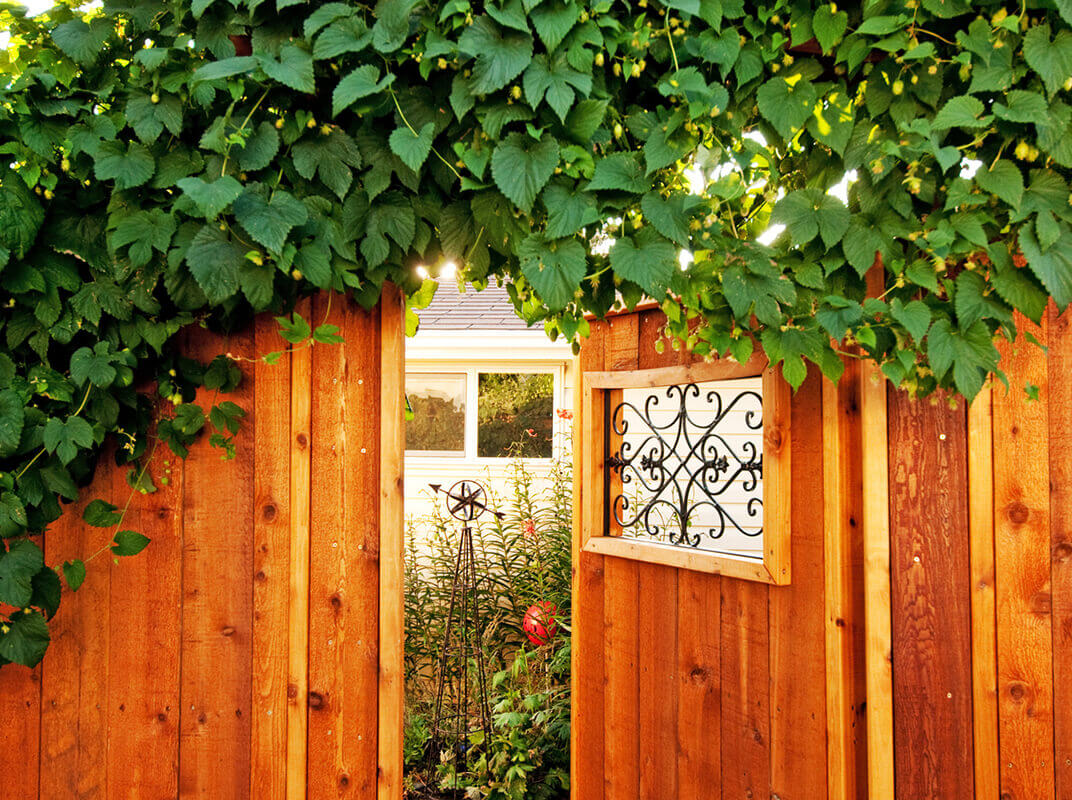 Accent Your Garden With These Landscape Ideas