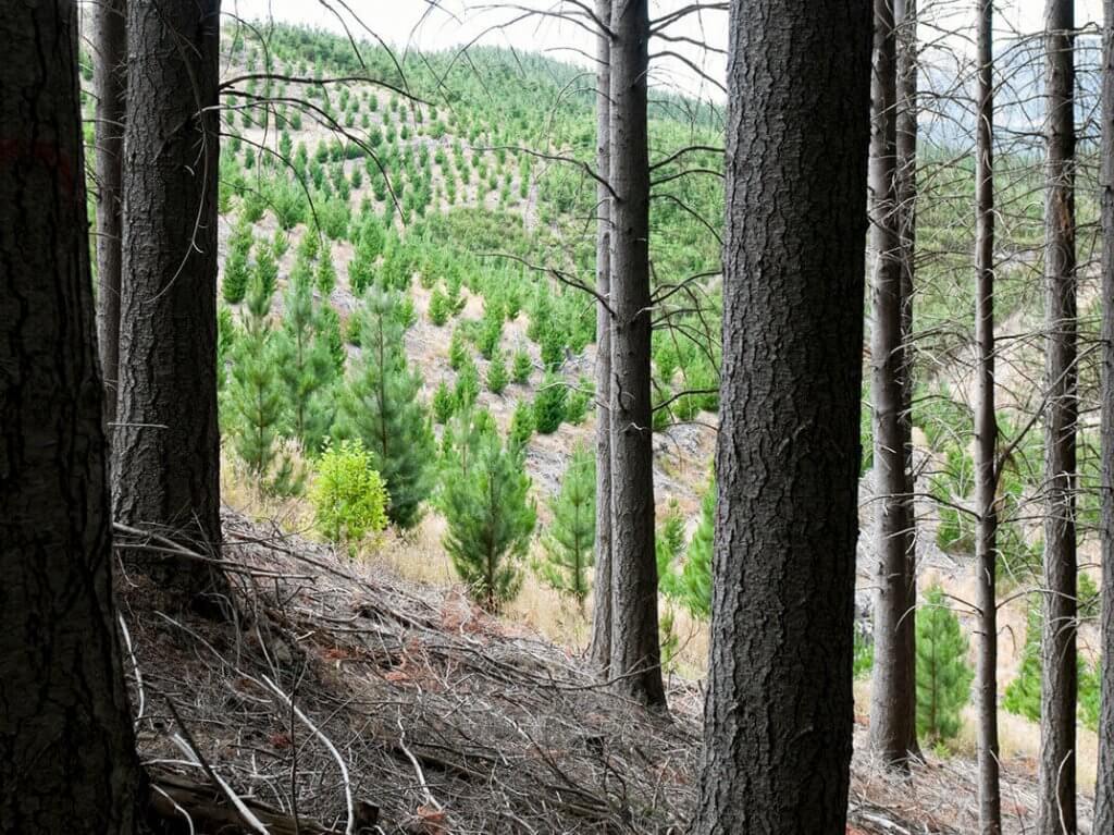 Outdoor Patio Design Blog J&W Lumber Blog