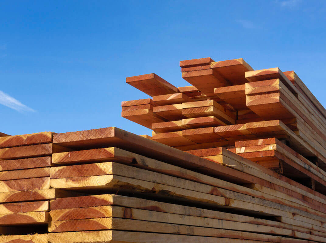 Choosing the Best Lumber for Your Garden Box