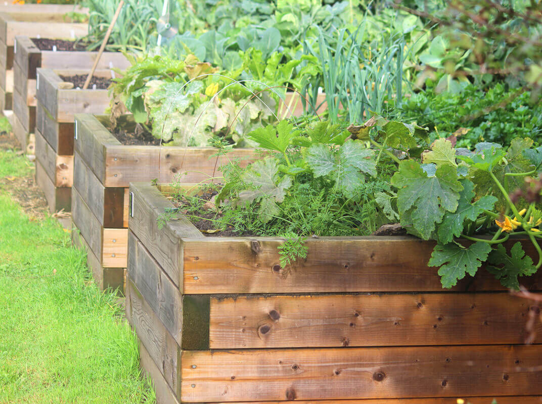 Raise It Up: When to Consider a Raised Garden Bed Raise It Up: When to Consider a Raised Garden Bed