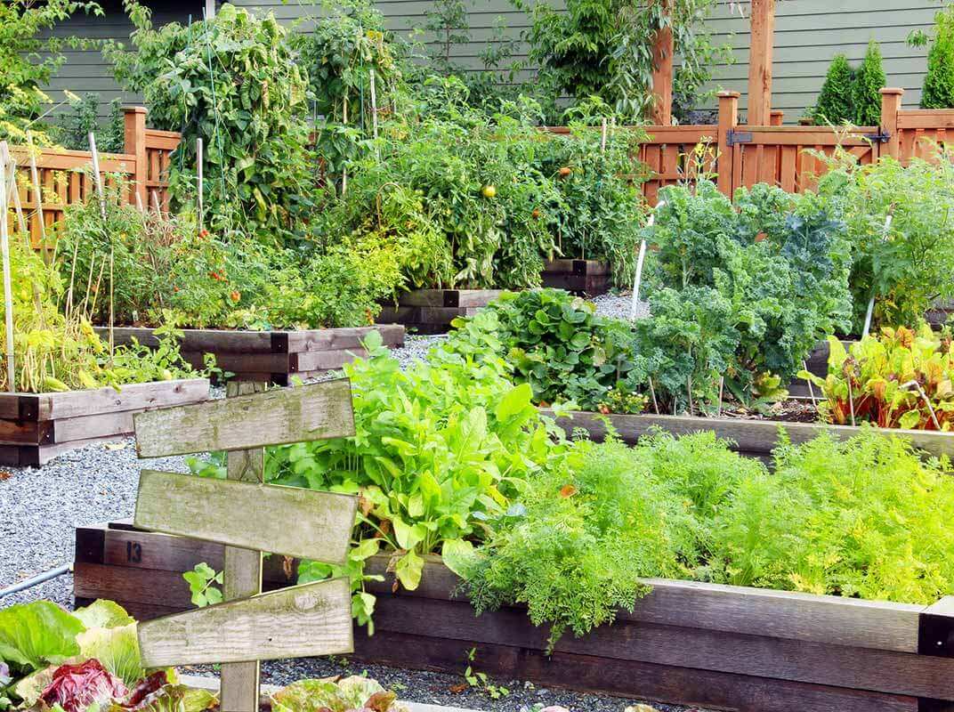 Off the Grid, Self-Sufficient and Green: Freshen Things Up with a Garden Box