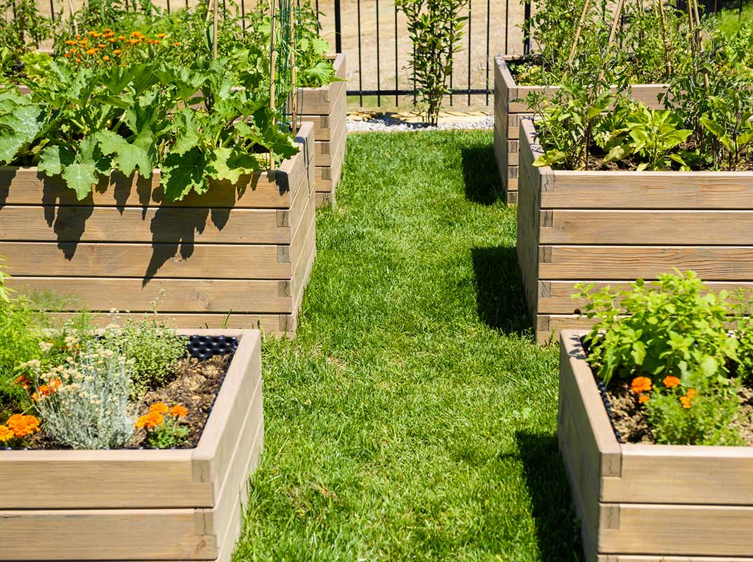 Pre-Cut Raised Garden Beds, Fun for the Whole Family