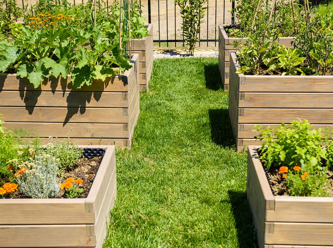 Pre-Cut Raised Garden Beds, Fun for the Whole Family Pre-Cut Raised Garden Beds, Fun for the Whole Family
