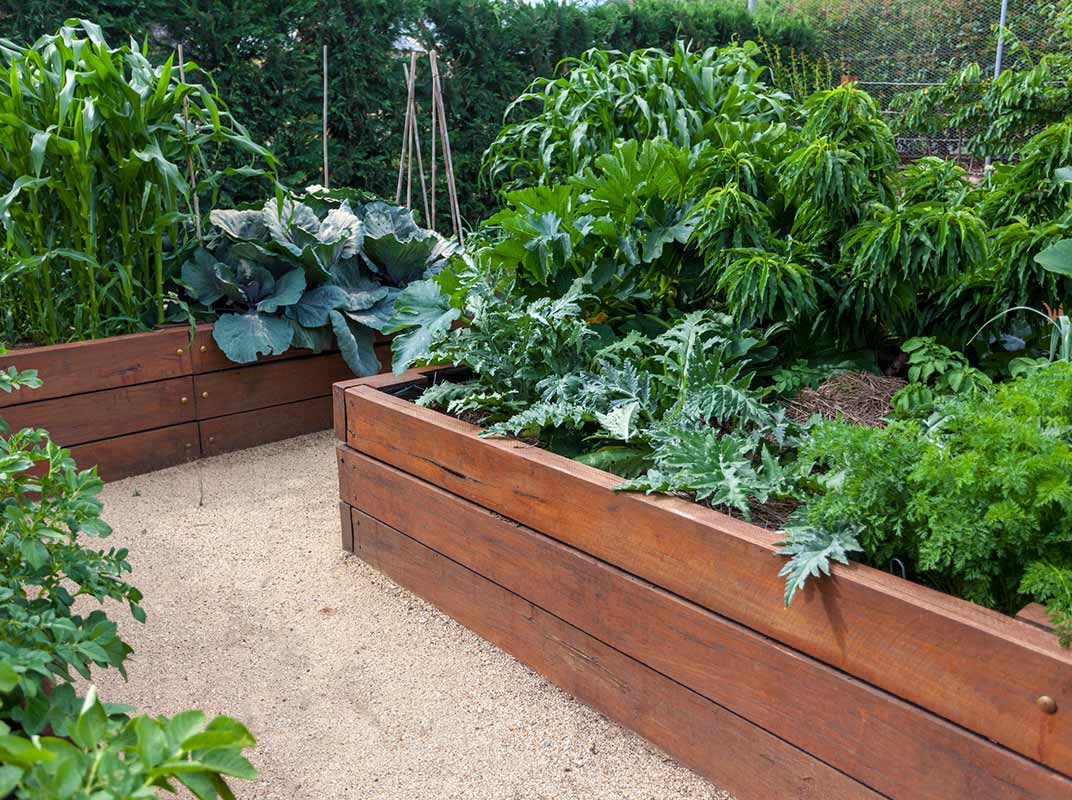 Need to Know: Garden Box Ideas