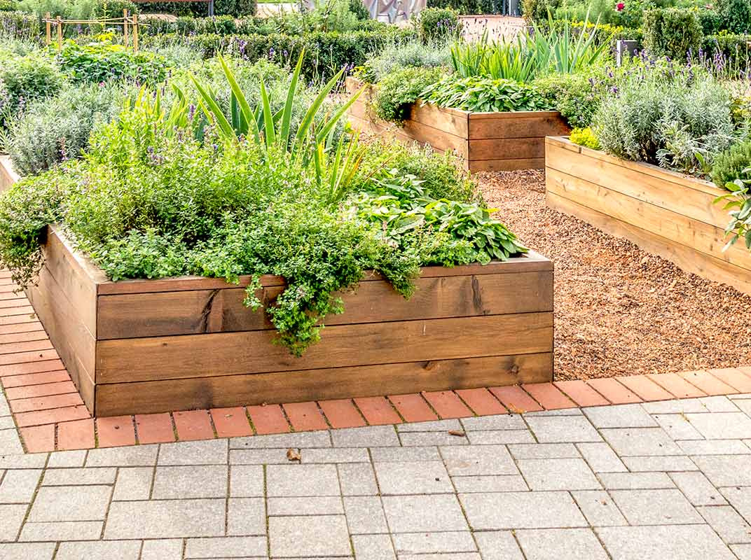 How To Go Green with a Raised Garden Bed