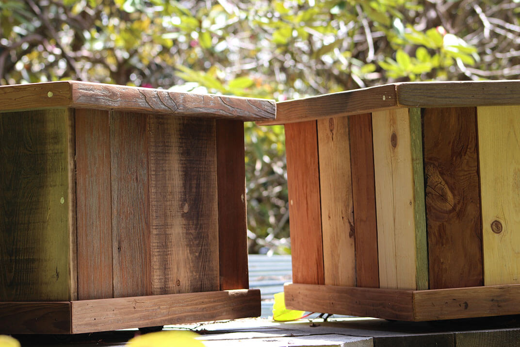 Top Lumber Options for Building Raised Garden Beds (And What to Avoid) Top Lumber Options for Building Raised Garden Beds (And What to Avoid)